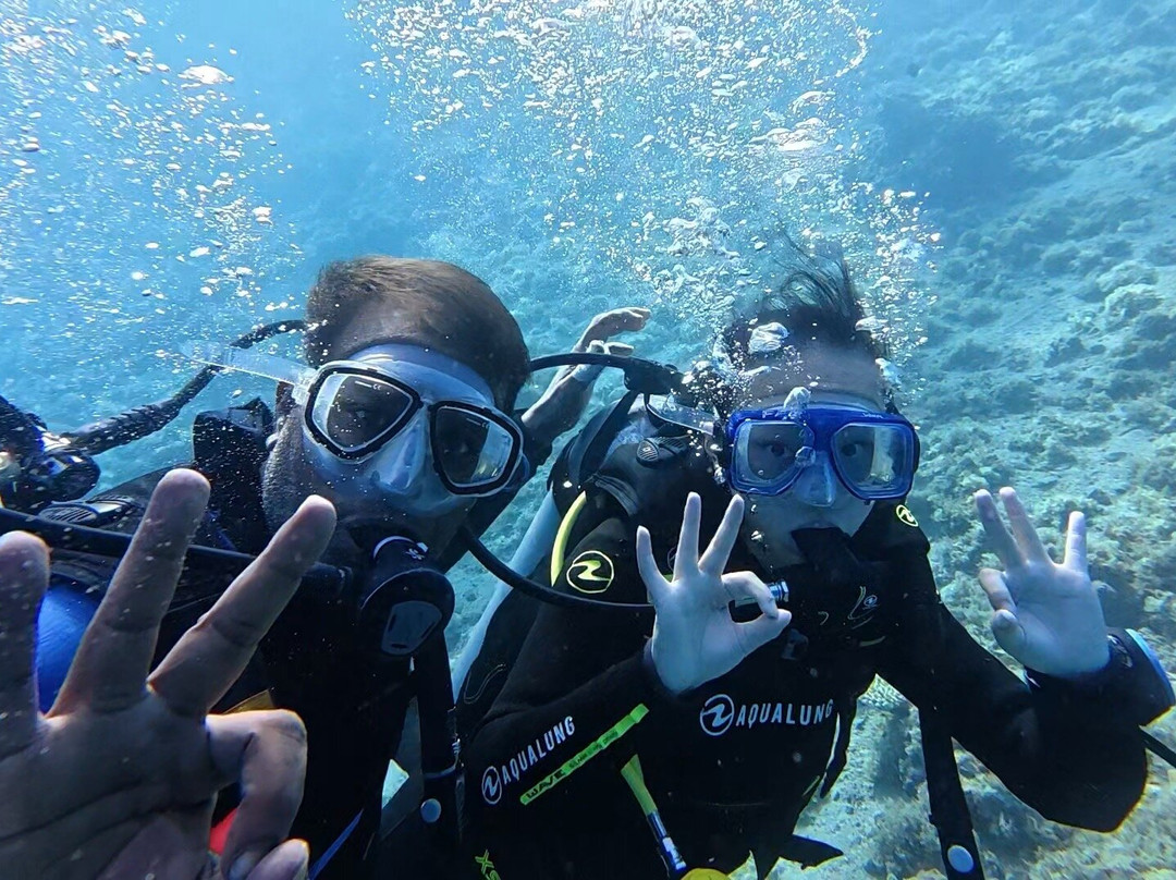 Fish & Friends Diving Centre-达哈卜必去景点