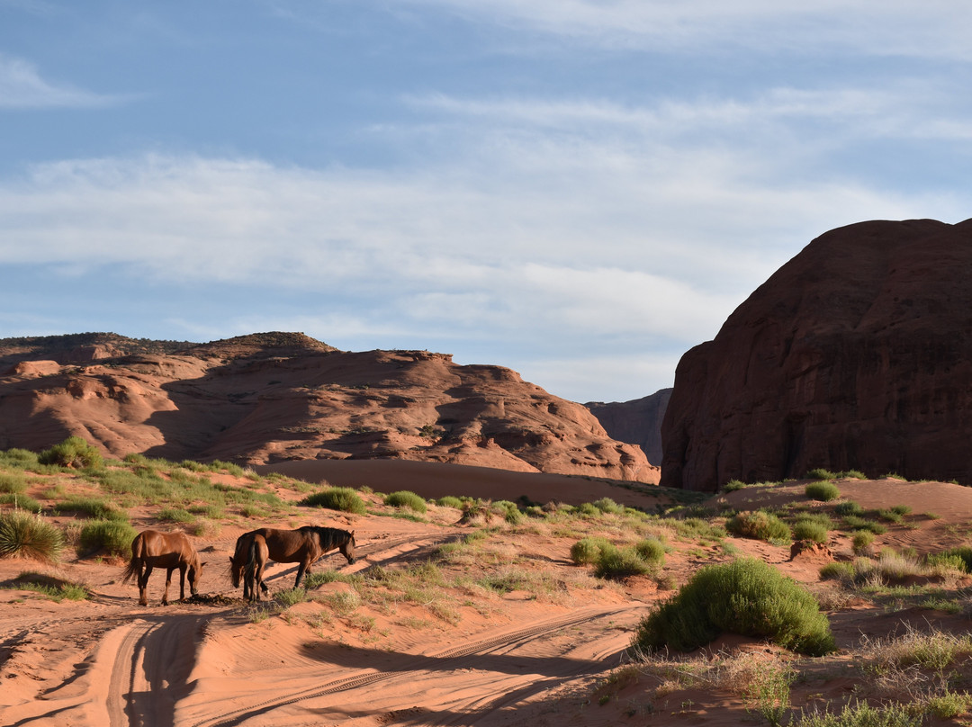 Phillips Photography Tours - Day Tours-纪念碑公园必去景点