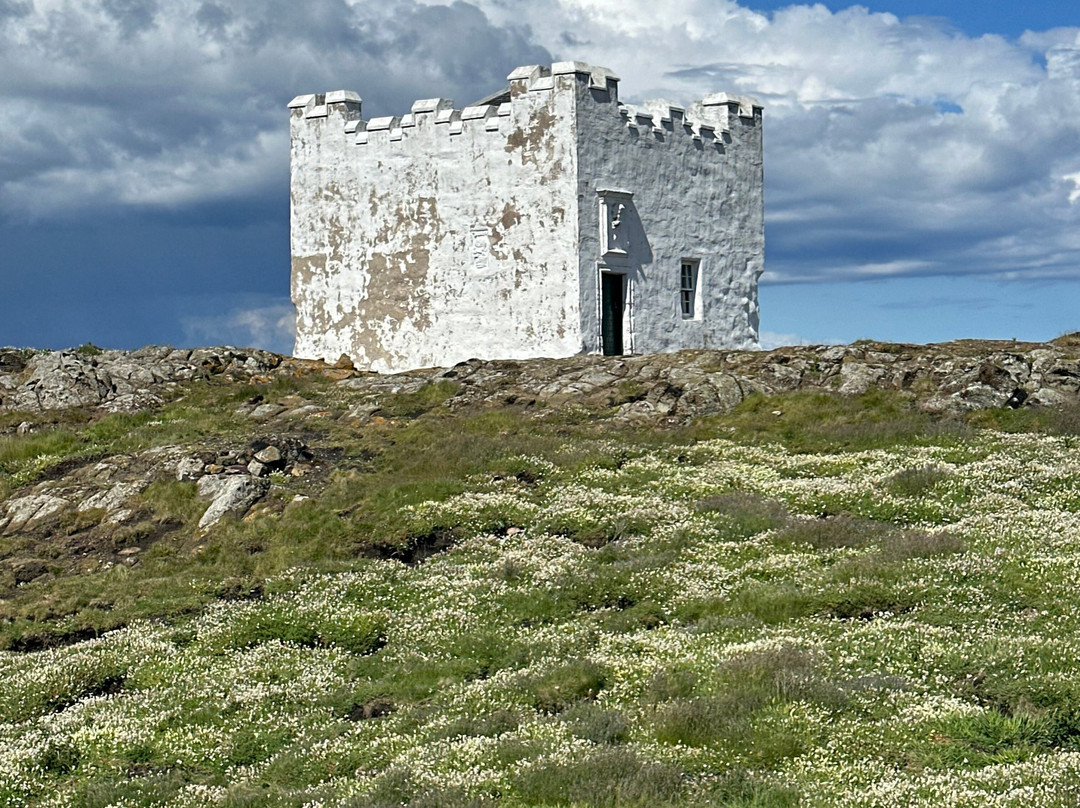 Isle Of May Boat Trips-Anstruther必去景点