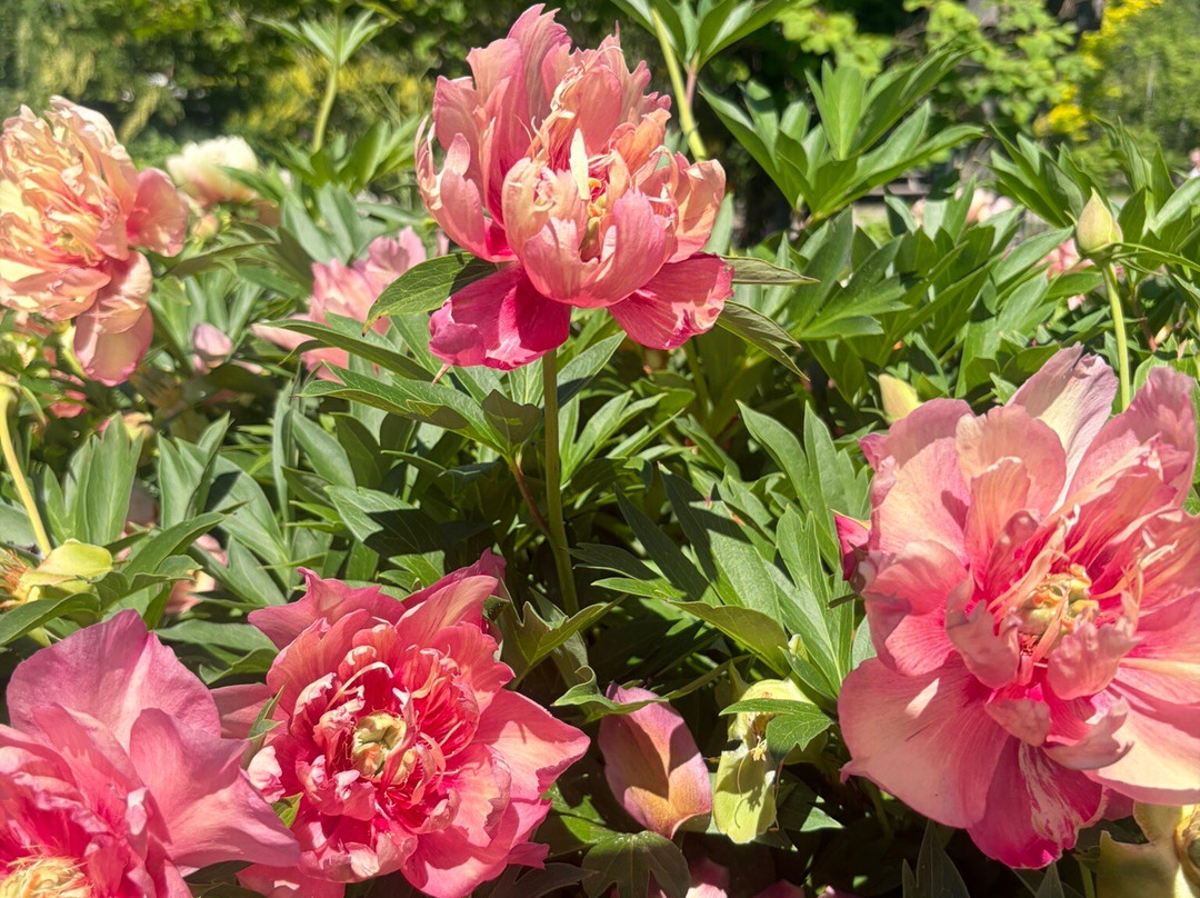 Coastal Maine Botanical Gardens-Boothbay必去景点