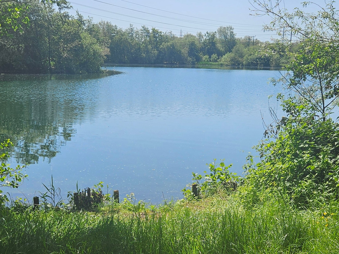 Ducklington Lake-威特尼必去景点
