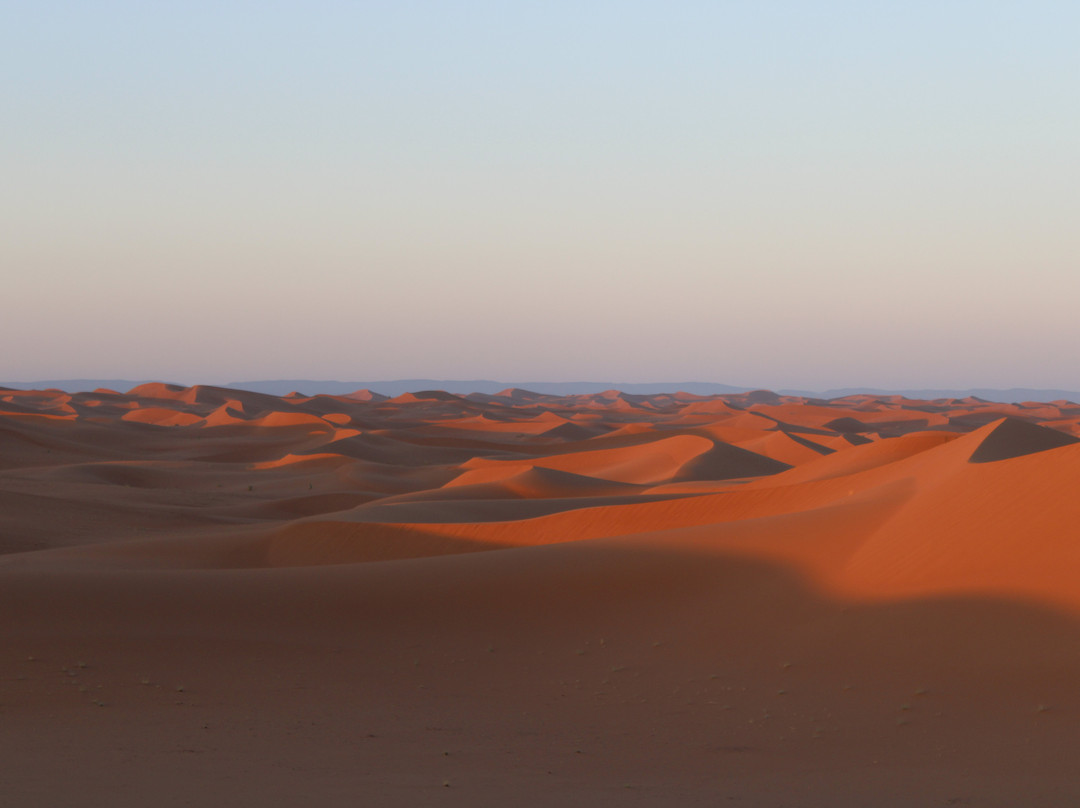 Desert Maroc Tours - Day Tours-扎古拉必去景点