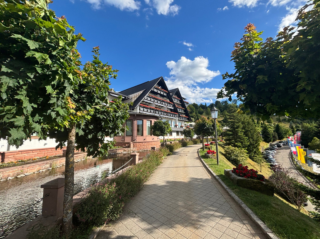 多棱伯格酒店（德国） Hotel Dollenberg主图