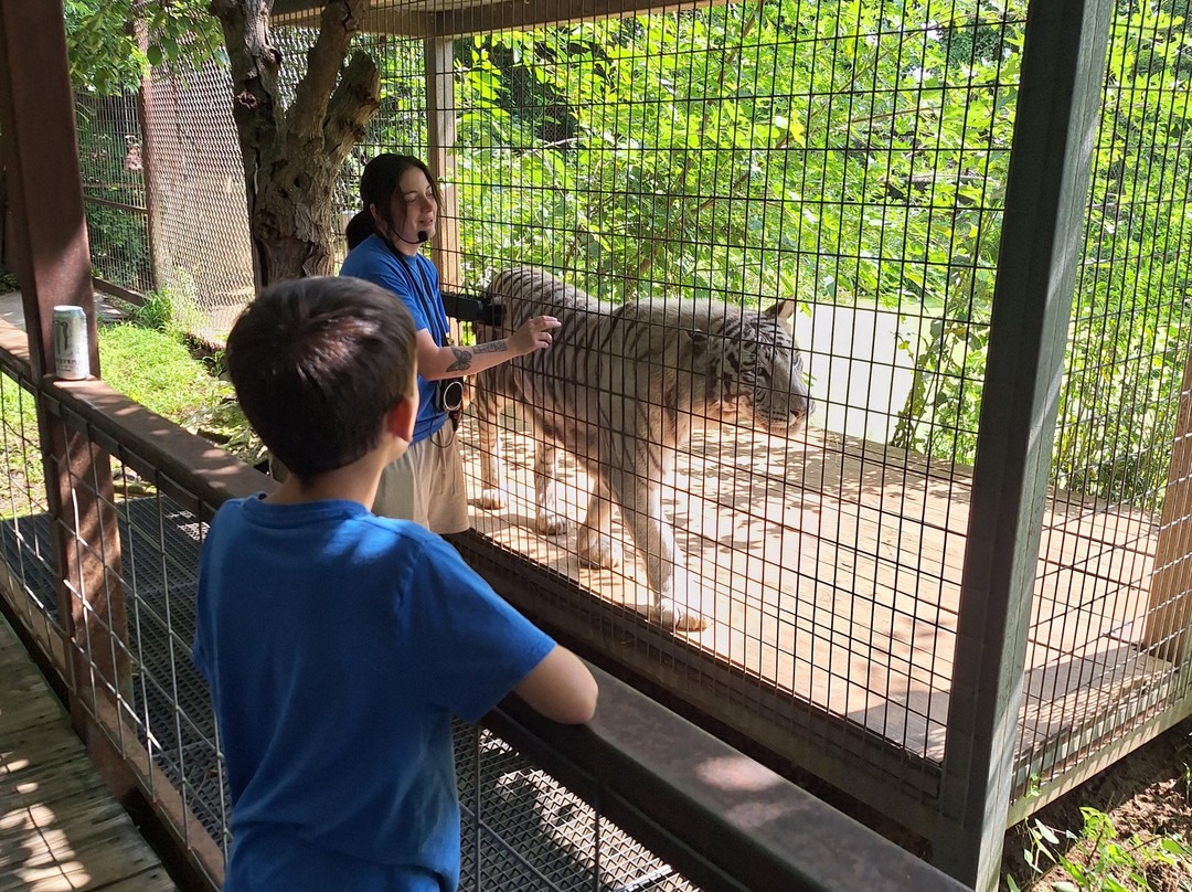 Safari Zoological Park-Caney必去景点