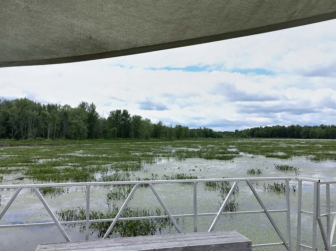 Parc National de Plaisance-Plaisance必去景点