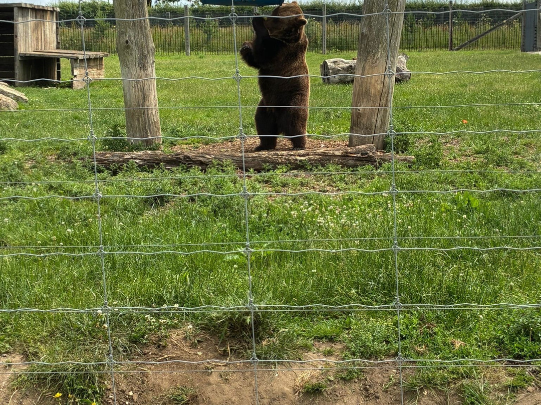 Wolds Wildlife Park-Horncastle必去景点