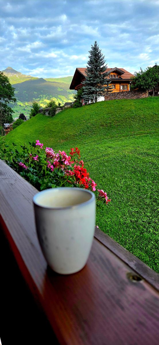 菲舍布利克酒店-旅行者