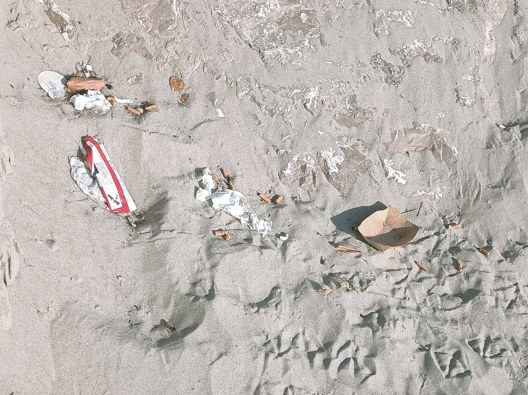 Berck Sur Mer-Berck必去景点