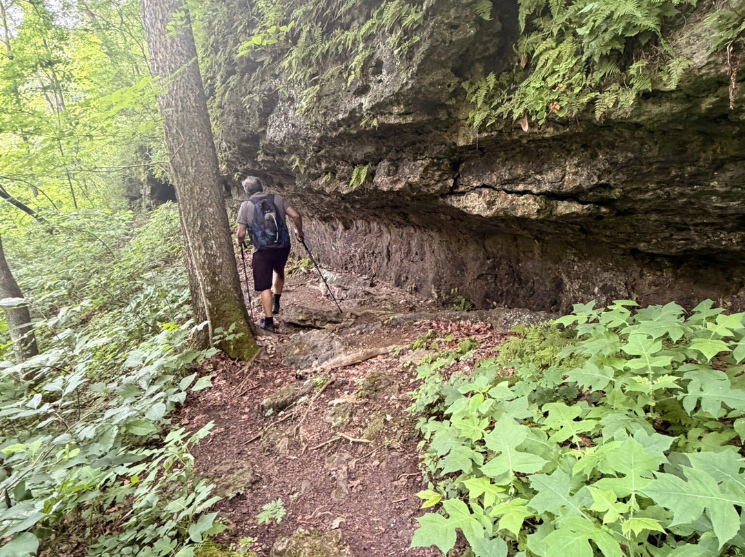 The Highlands Nature Sanctuary-Bainbridge - Ross County必去景点