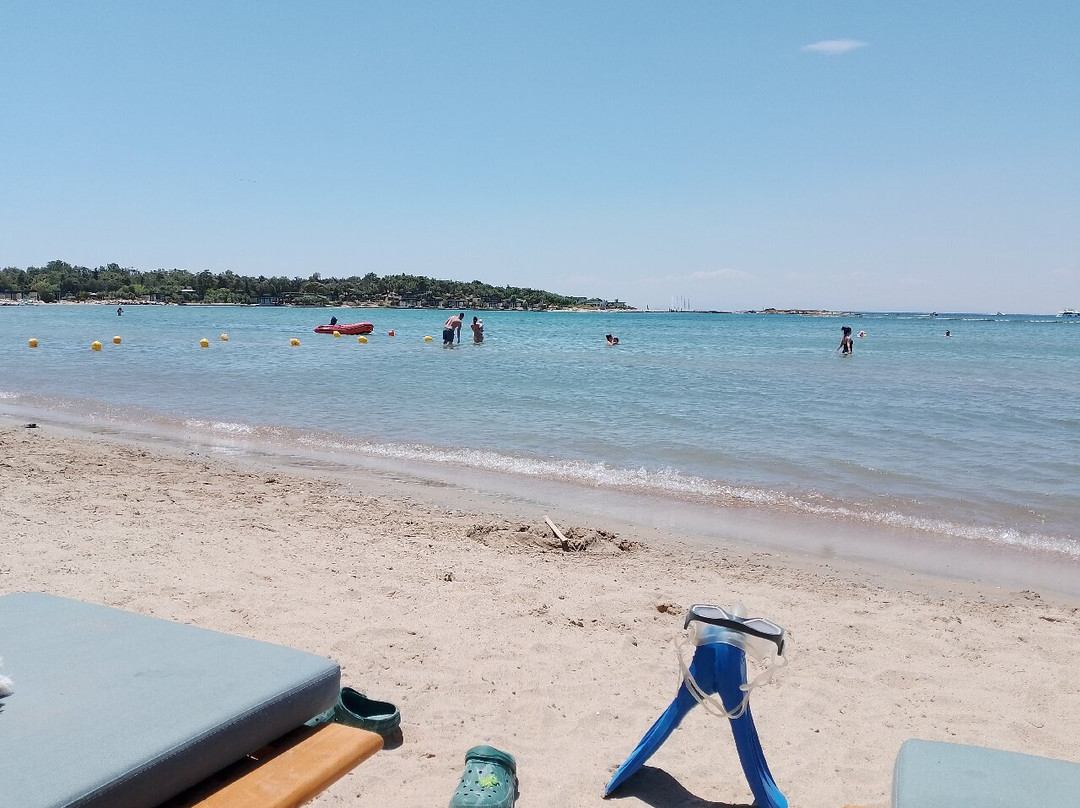 Paralia Asteria