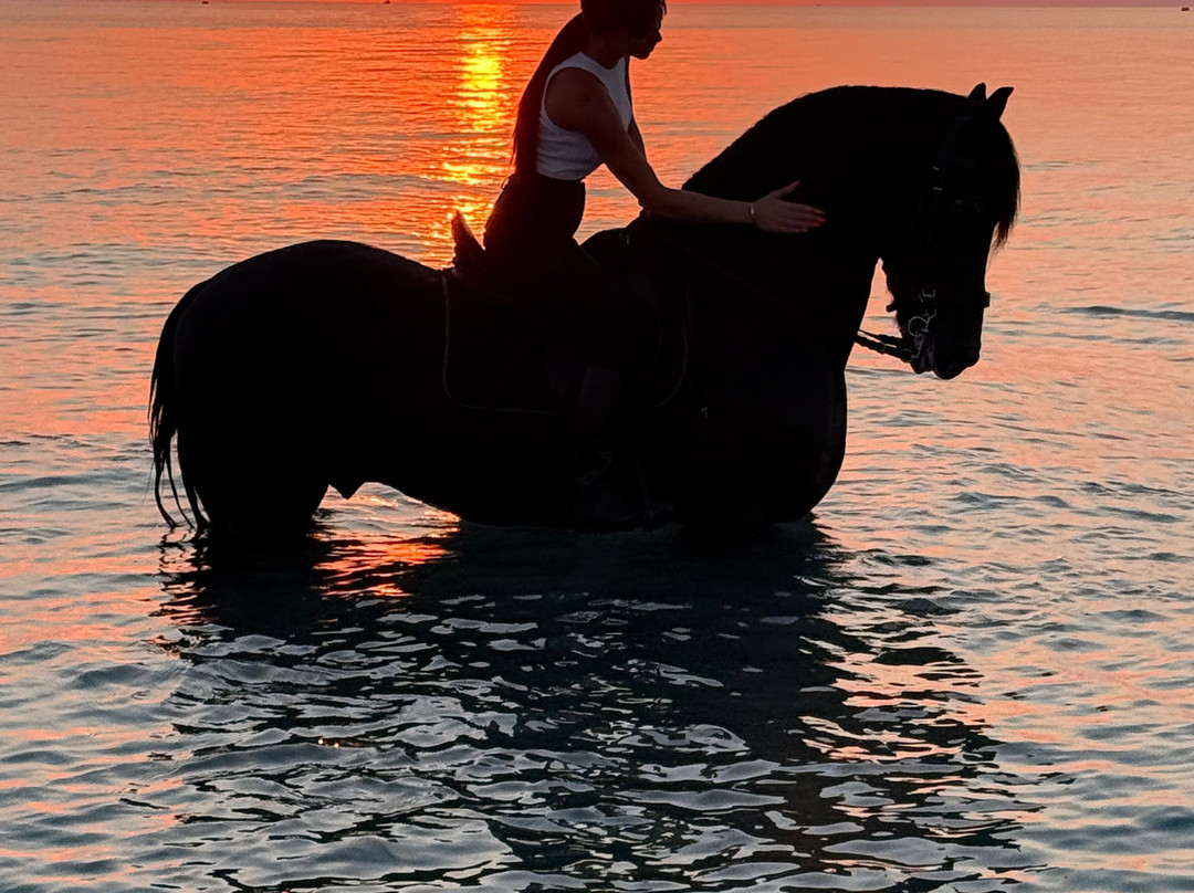 Erika's Horse Farm Kos-Marmari必去景点