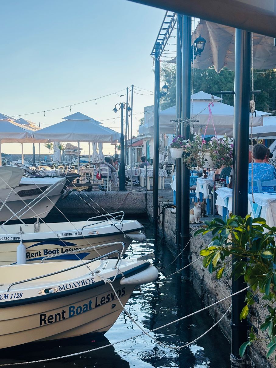 Sea Horse Hotel-旅行者