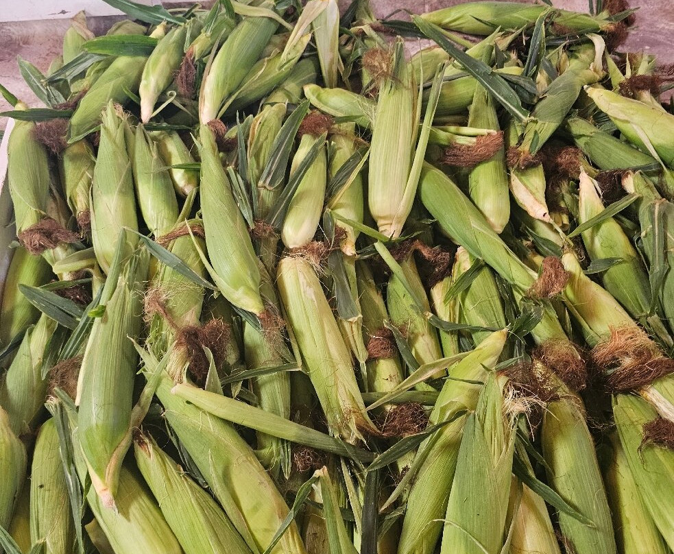 Delano Community Farm Market-Delano必去景点