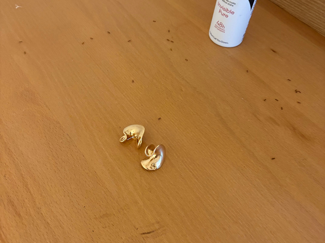 音索特蓬普瑞玛度假酒店主图