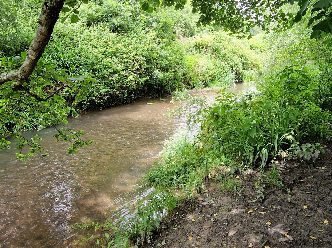 King's Wood-Pentewan必去景点
