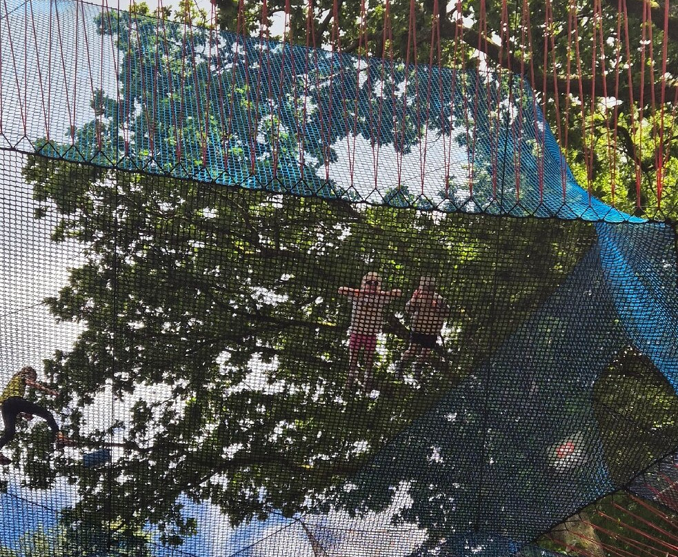 湖区丛林穿越-温德米尔必去景点