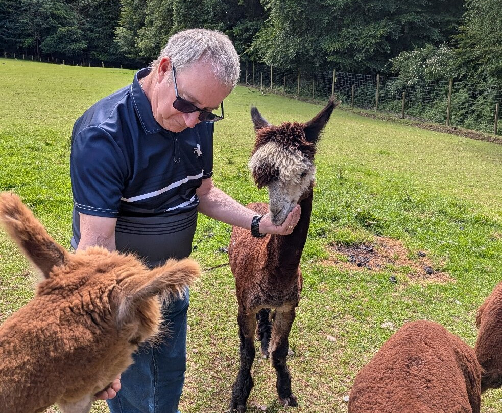 Alpacaly Ever After-Portinscale必去景点