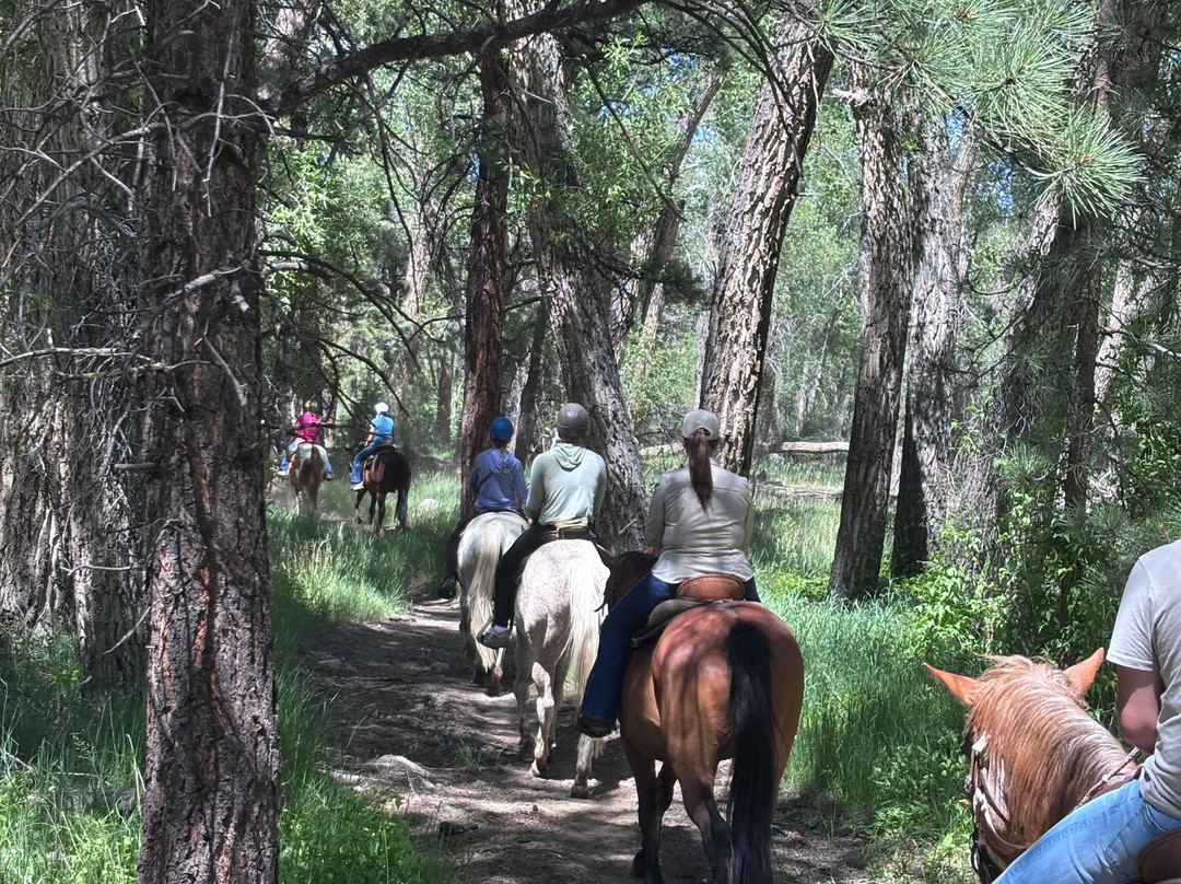 Mt Princeton Hot Springs Stables-Nathrop必去景点