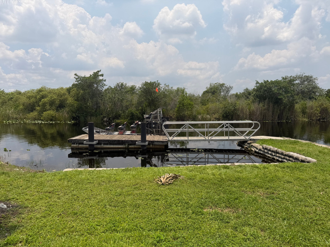 Everglades Swamp Tours-Everglades Wildlife Management Area必去景点