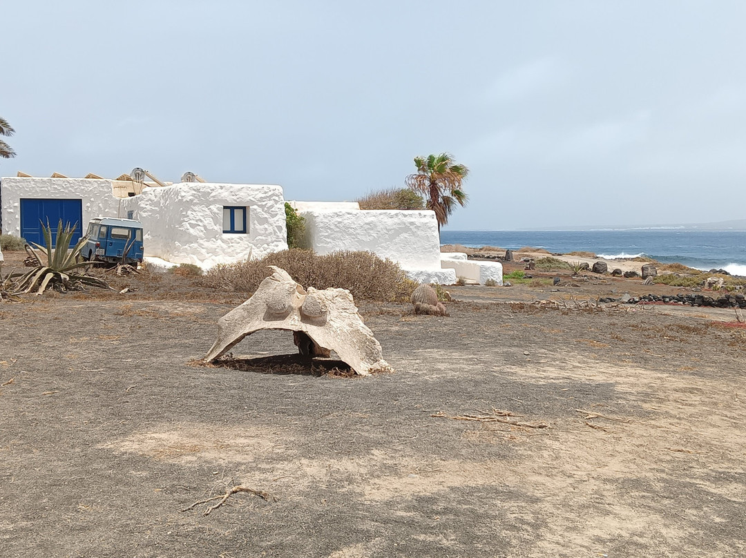 La Graciosa La Molina bike-Caleta de Sebo必去景点