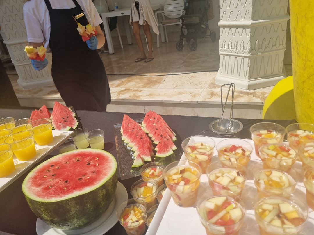 卡梅利亚塞林酒店-全包式主图