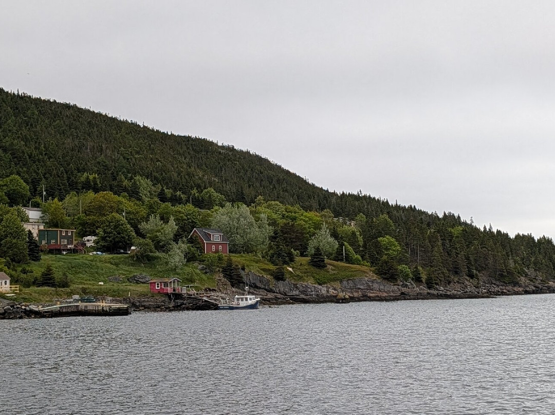 Gatherall's Puffin and Whale Watch-Bay Bulls必去景点