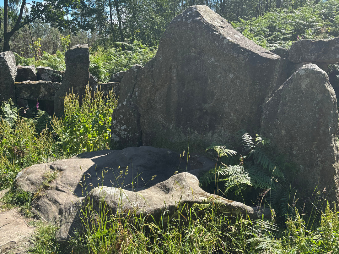Druids Temple-里彭必去景点