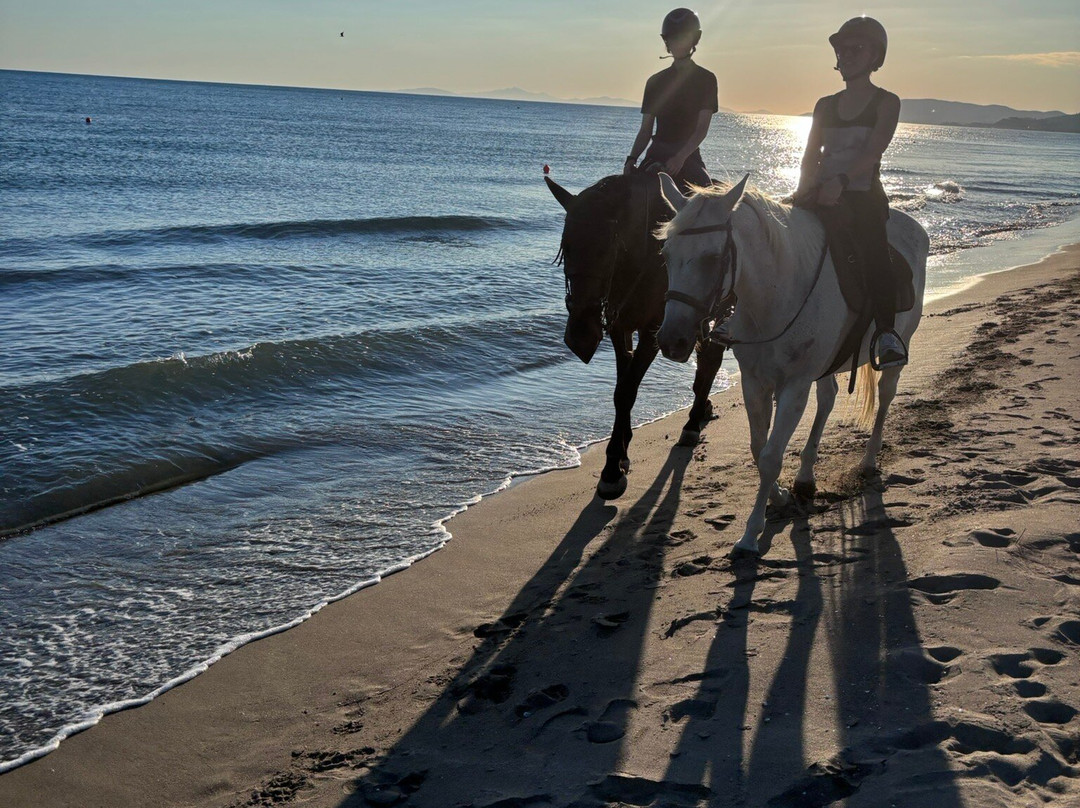 Cavallo Natura-Marina di Grosseto必去景点