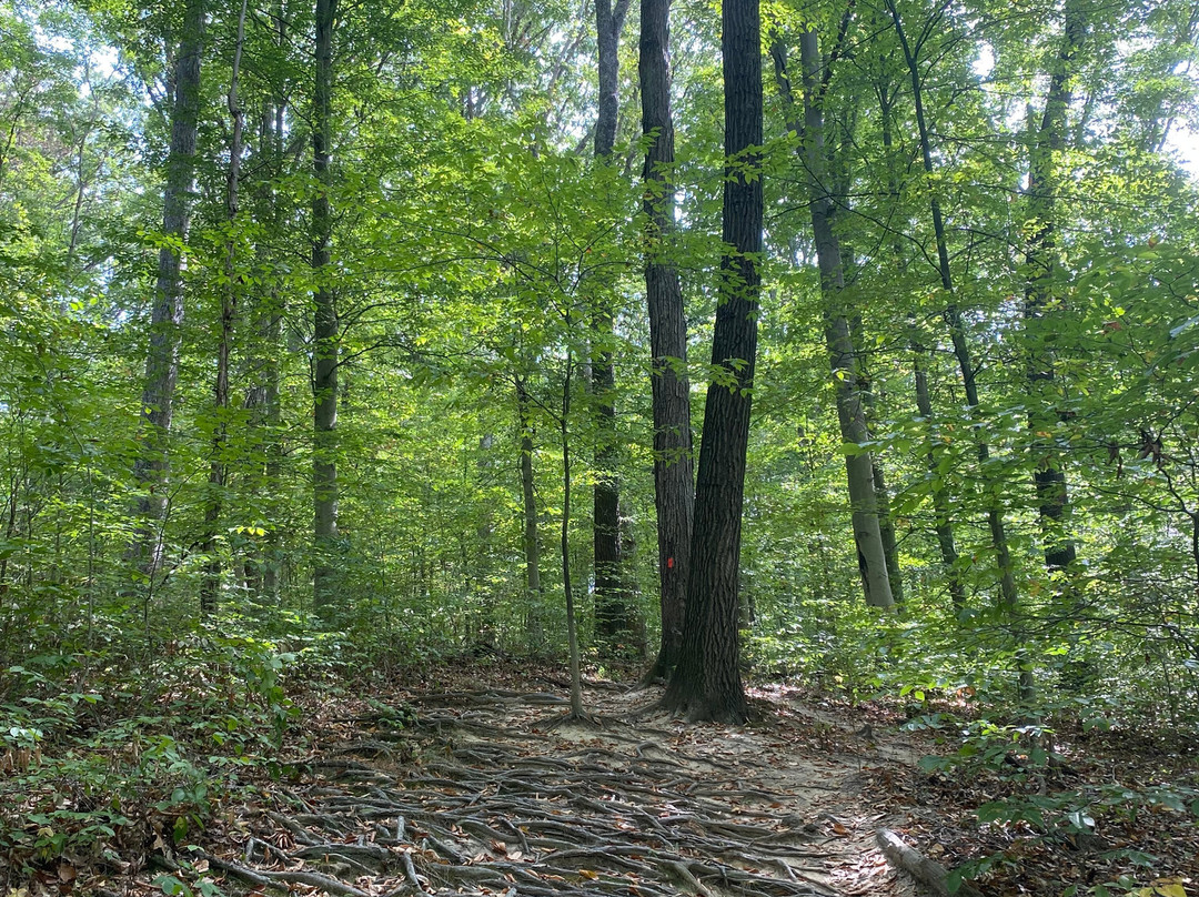 Rockbridge State Nature Preserve-Rockbridge必去景点