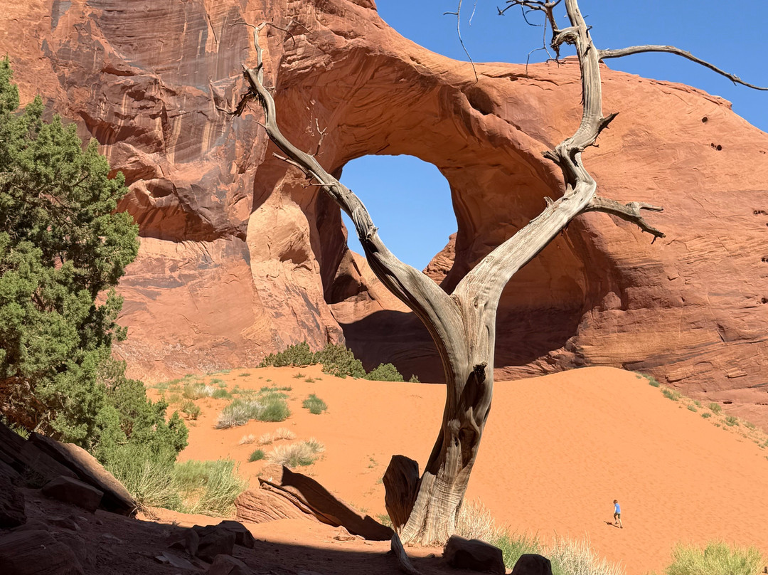 Navajo Spirit Tours-纪念碑公园必去景点