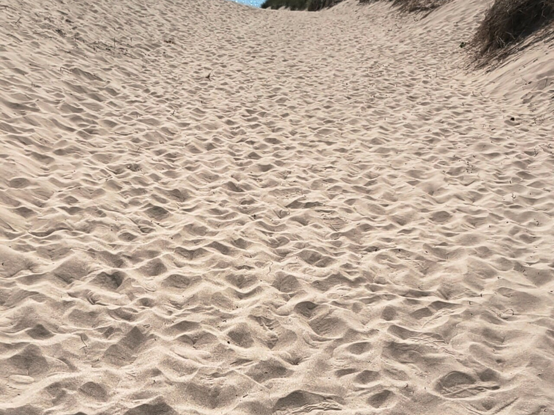 Harlech Beach-Harlech必去景点