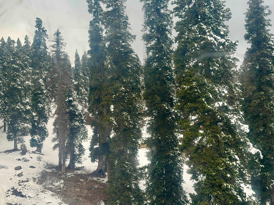 Gulmarg Gondola-贡马必去景点