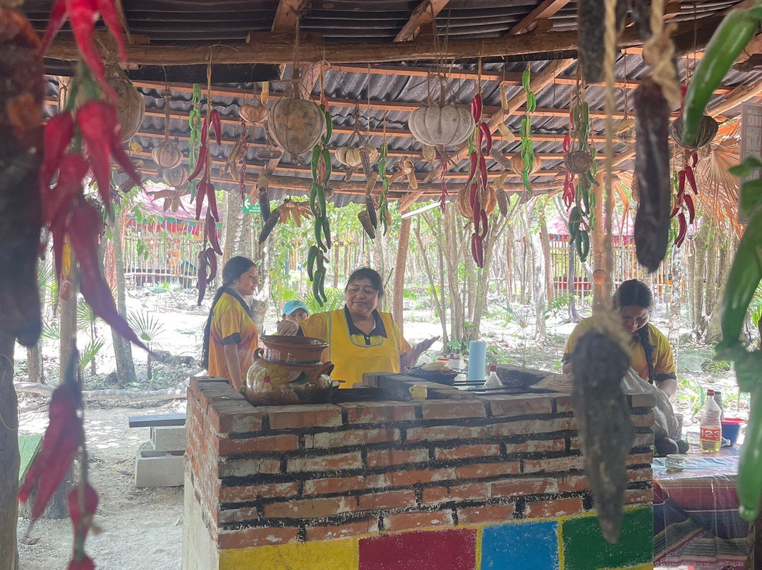 Bee Friendly Conservation Park-考祖梅必去景点