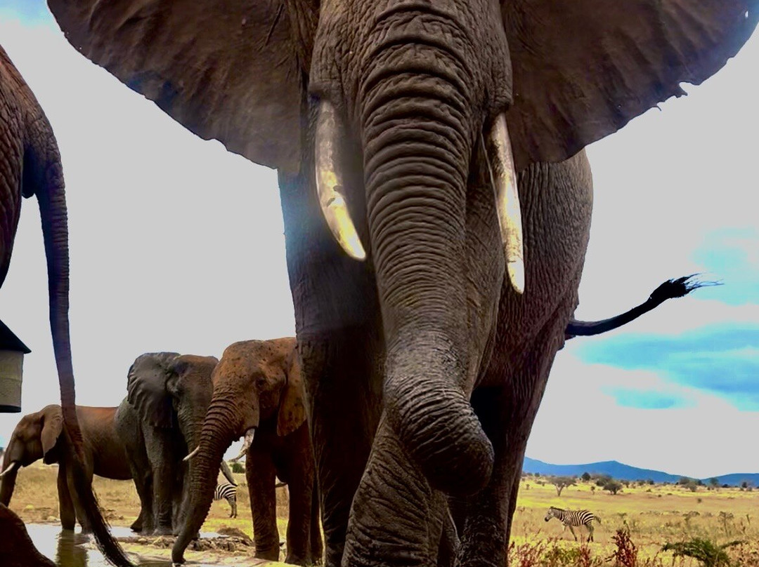 Watamu Diego Safari Day Tours-瓦塔木必去景点