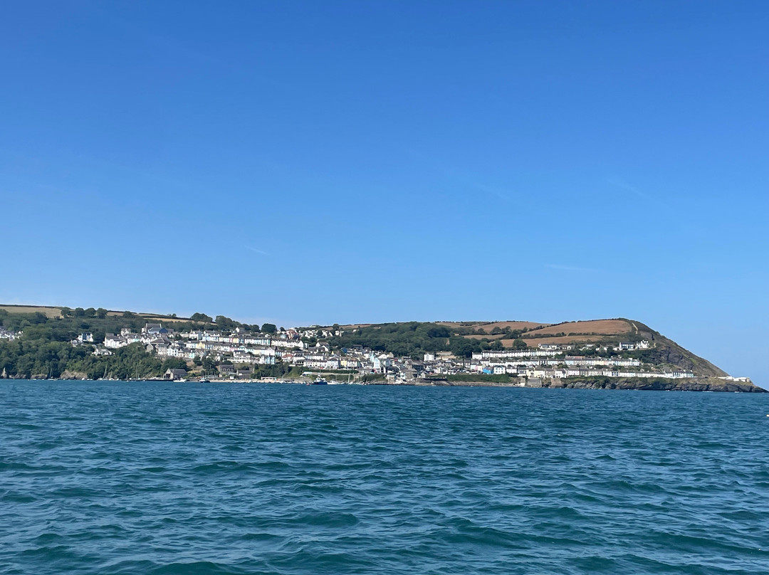 SeaMor Dolphin Watching Boat Trip-纽基必去景点
