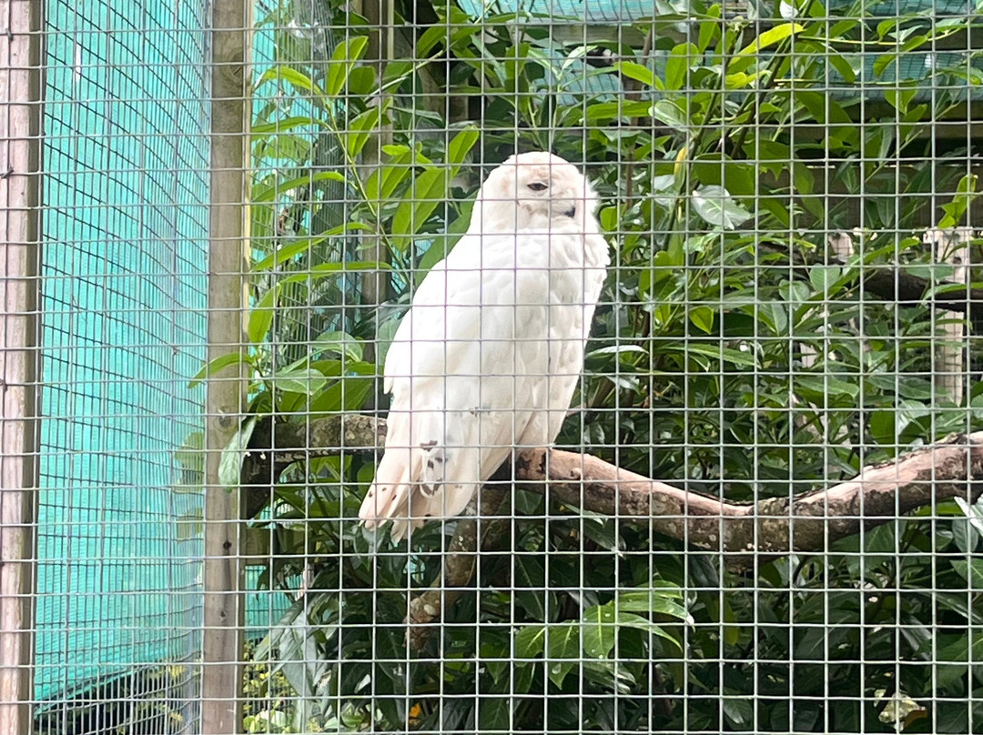 Andy Howeys Birds of Prey Centre-特威德河畔贝里克必去景点