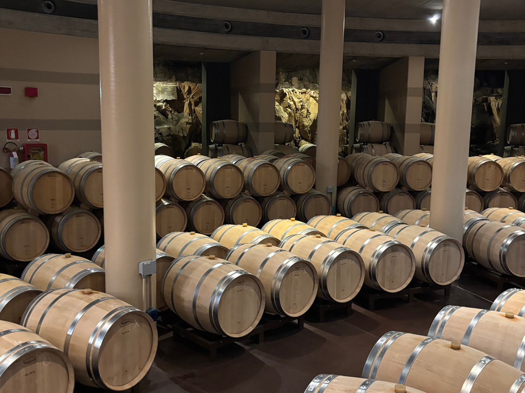 Fattoria Le Mortelle-Ampio必去景点