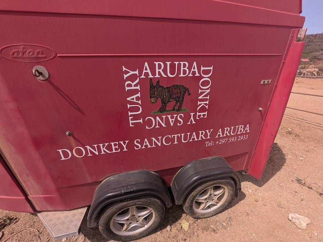 Donkey Sanctuary Aruba-Santa Cruz必去景点