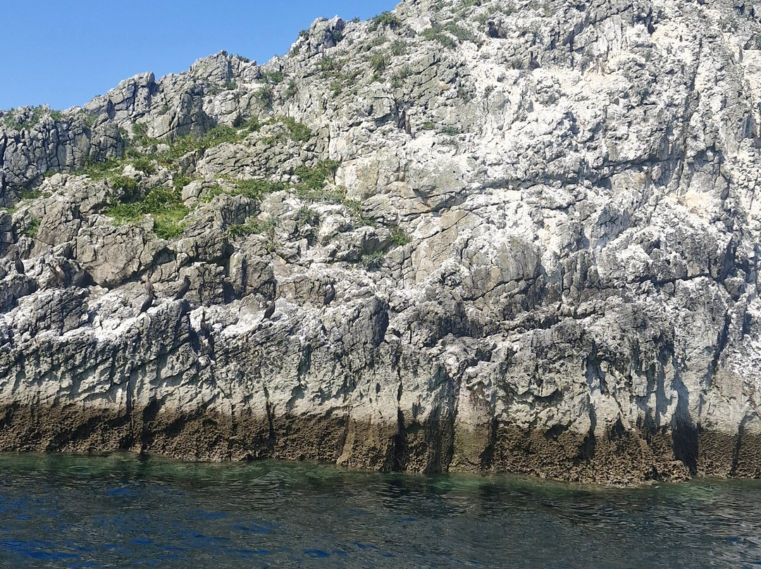 Fenit Sea Safari-Fenit必去景点