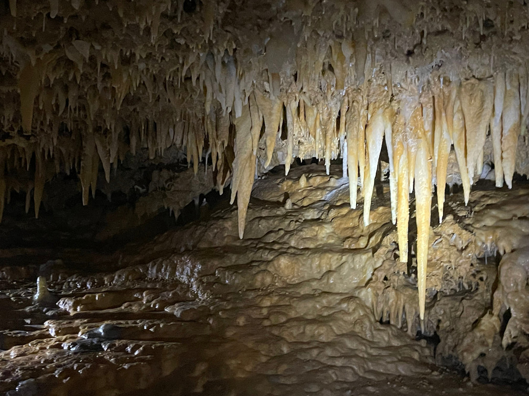 Grotte du Grand Roc-Les Eyzies-de-Tayac-Sireuil必去景点