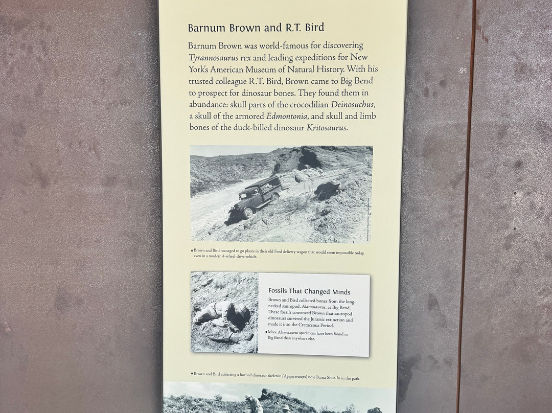 Big Bend National Park - Fossil Bone Exhibit-大弯国家公园必去景点