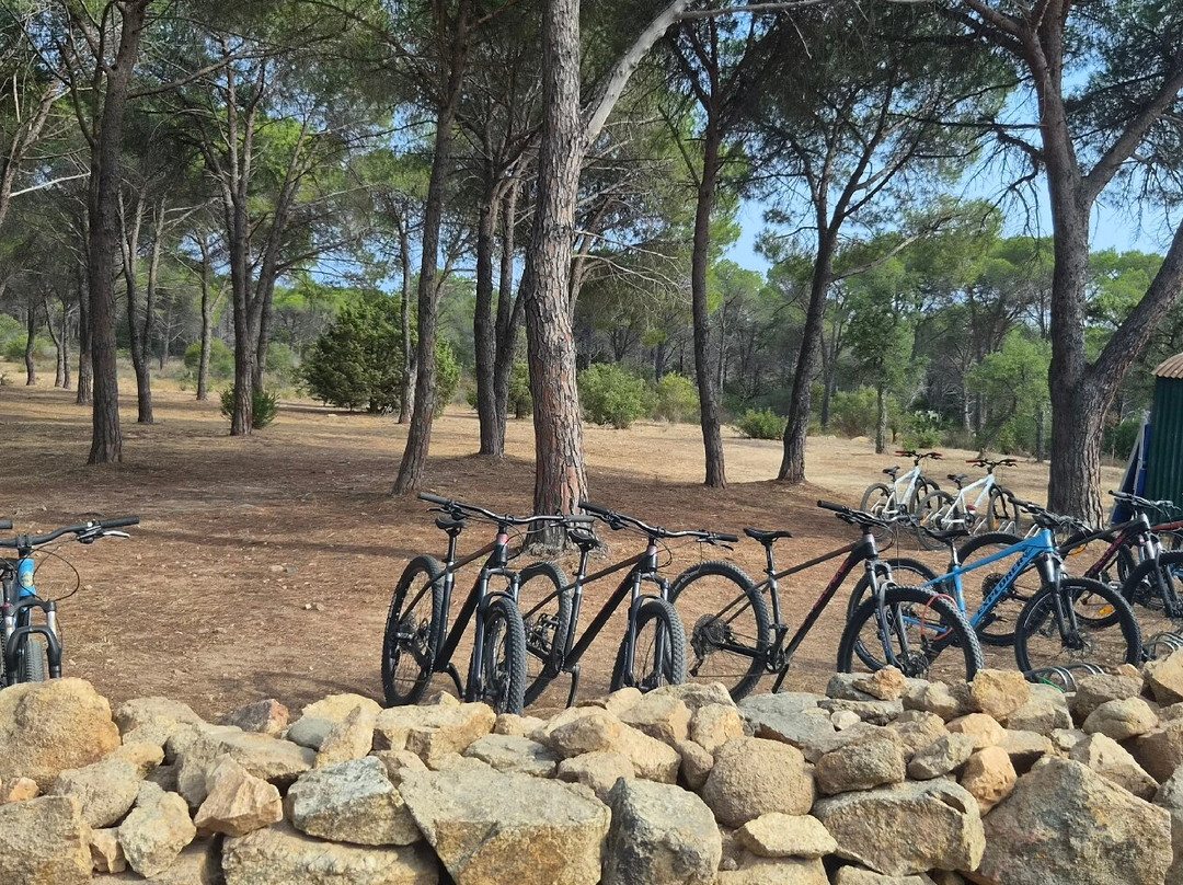 Oasi Biderosa-奥罗塞必去景点