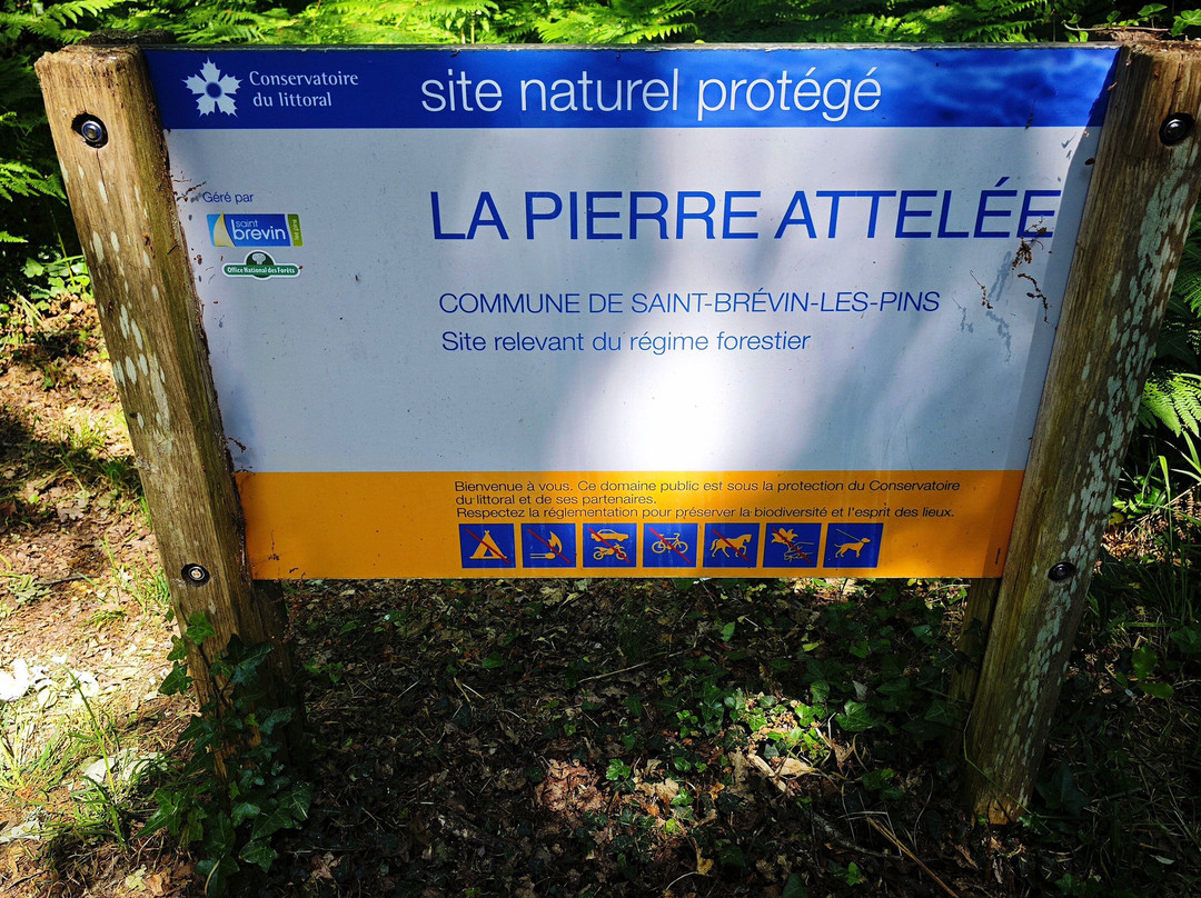 Menhir De La Pierre Attelée