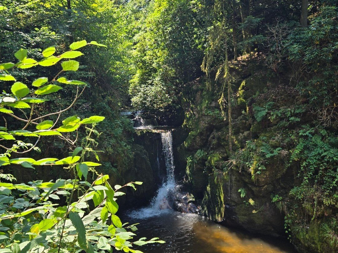 Geroldsau Waterfall-巴登巴登必去景点