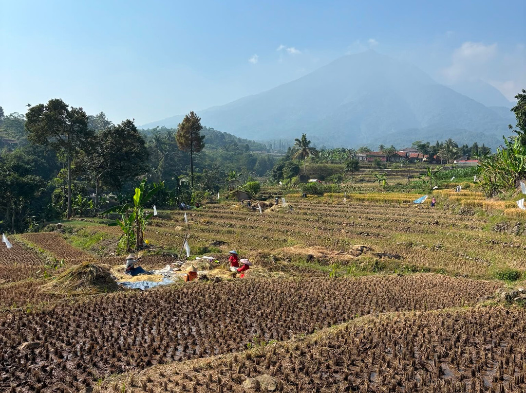 Bogor Halimun National Park Tour-茂物必去景点