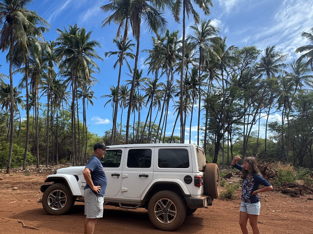 Lanai Jeep Rentals-拉奈市必去景点