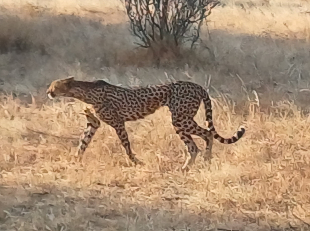 Samburu National Reserve-内罗毕必去景点