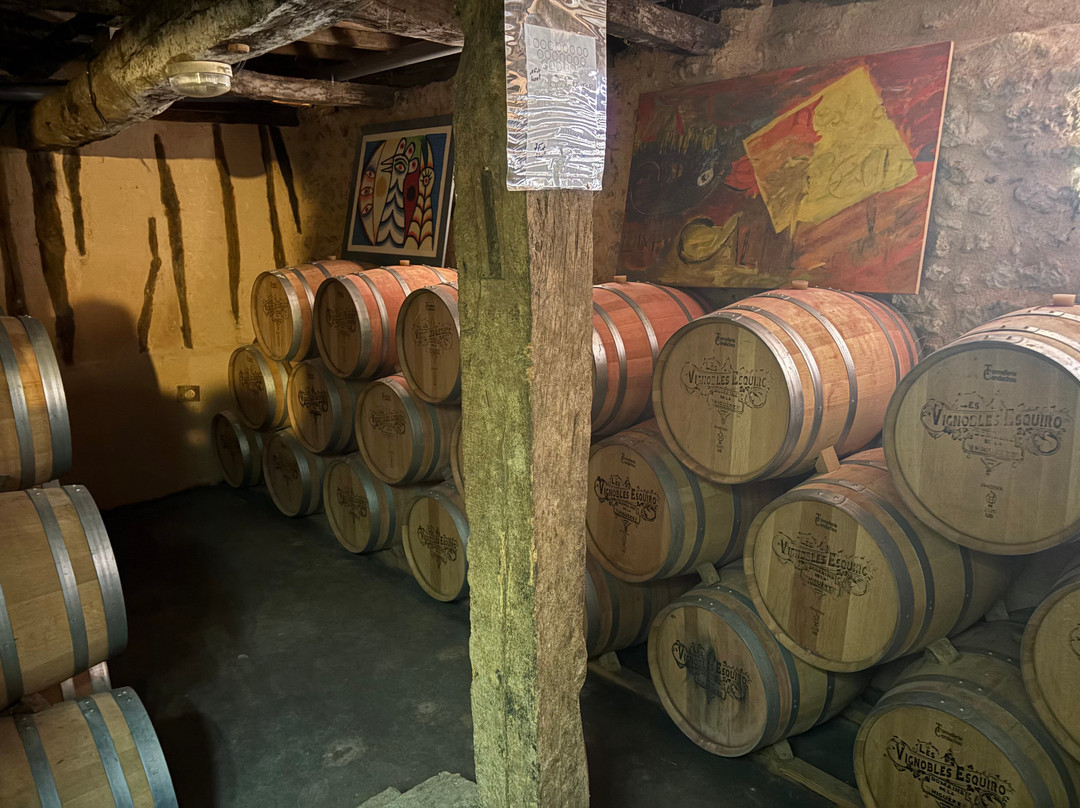 Domaine de La Higuere , Vignobles Esquiro