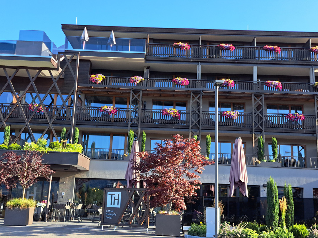 Terentnerhof  S Active & Lifestyle Hotel主图
