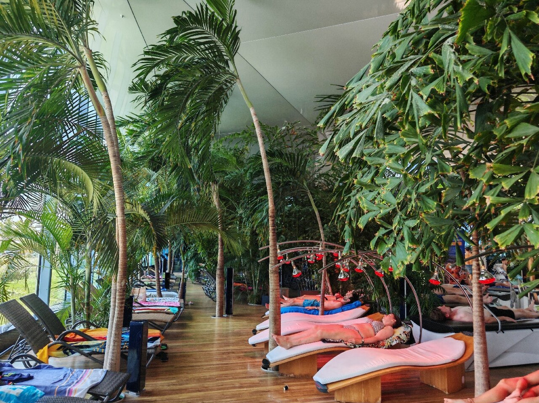 Therme Bucuresti-Balotesti必去景点